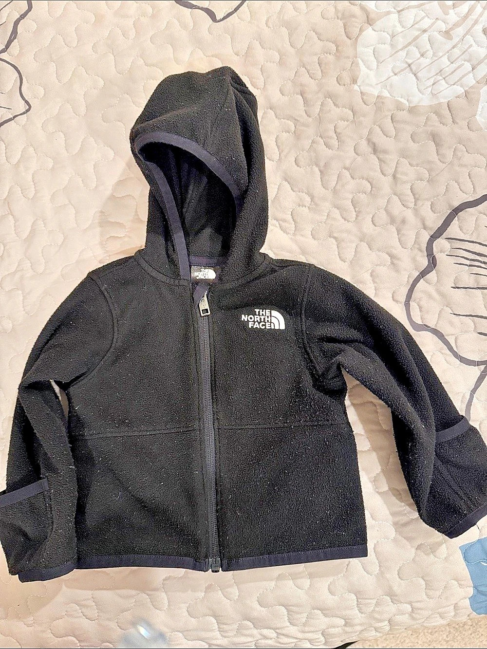 The North Face Kids' Glacier Full-Zip Fleece Hoodie Black